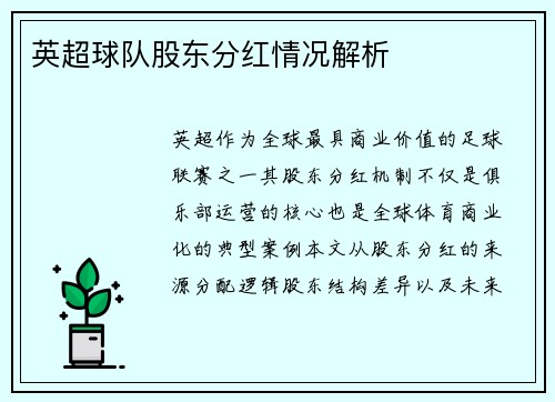 英超球队股东分红情况解析